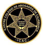 Junta directiva ICAC